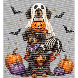 Halloween-WS 12001